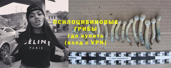круглые Аркадак